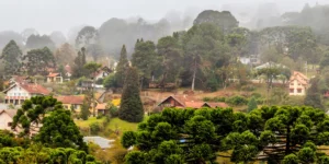 city-tour-monte-verde-mg